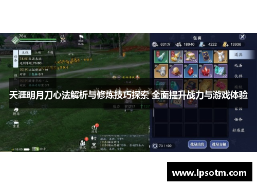 天涯明月刀心法解析与修炼技巧探索 全面提升战力与游戏体验