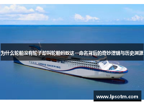 为什么轮船没有轮子却叫轮船蚂蚁这一命名背后的奇妙逻辑与历史渊源