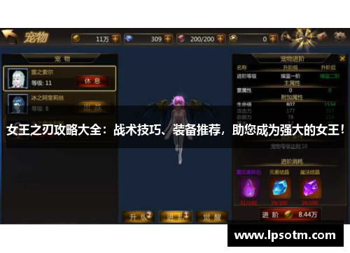 女王之刃攻略大全：战术技巧、装备推荐，助您成为强大的女王！
