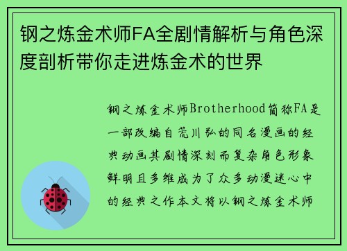 钢之炼金术师FA全剧情解析与角色深度剖析带你走进炼金术的世界
